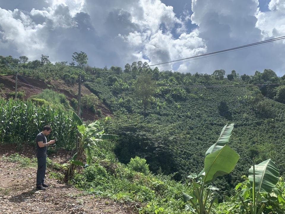 Photo: Coffee plantation with the potential to protect soil erosion on steep slopes in Song Ma District © IUCN Viet Nam